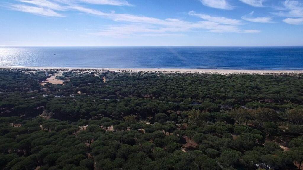 Camping Giralda Huelva Bagian luar foto